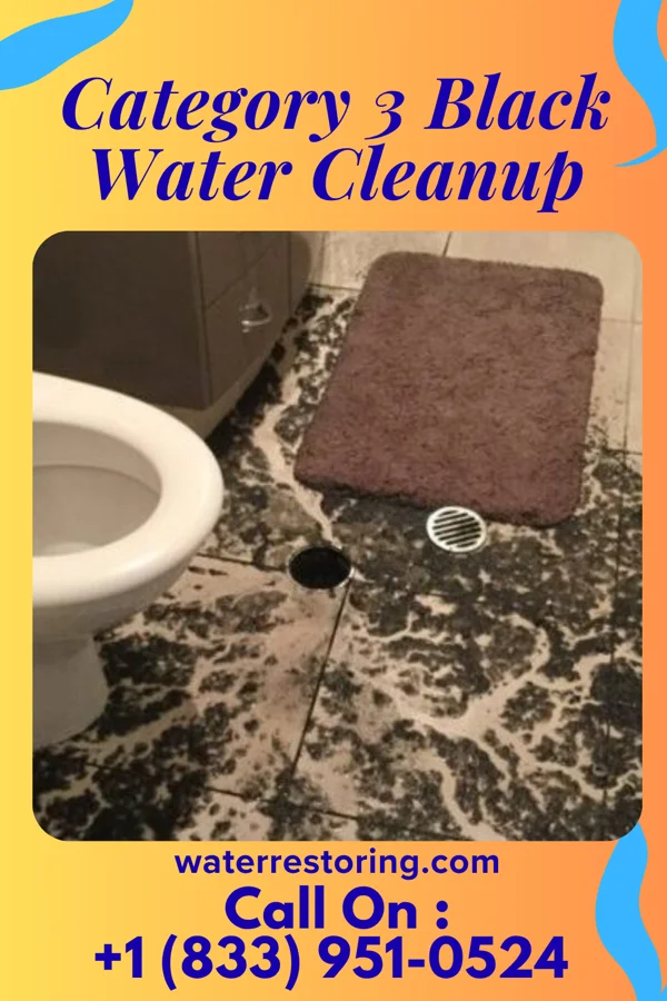 Category 3 Black Water Cleanup in Adair Village, OR